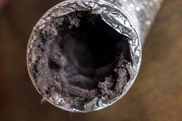 Best Commercial Air Duct Cleaning  in Duboistown, PA