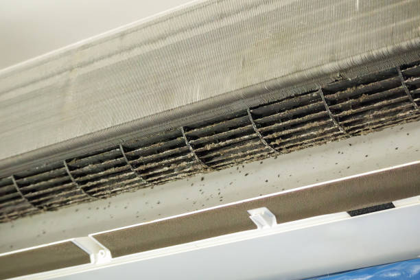 Air Duct Mold Removal in PA